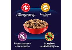 FELIX ДВОЙНАЯ ВКУСНЯТИНА Сухой корм Пурина Феликс для взрослых кошек с мясом 10 кг