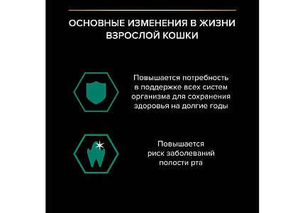 PRO PLAN ADULT Влажный корм Паучи ПРО ПЛАН для взрослых кошек Ассорти вкусов Индейка, Утка, Ягненок (цена за упаковку) 85г х 40шт