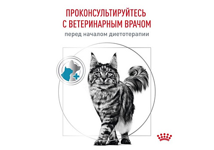 Royal Canin Hypoallergenic DR25 Ветеринарный сухой корм Роял Канин Гипоаллергенный для кошек Пищевая аллергия и непереносимость 2 кг