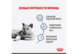 Royal Canin Light Weight Care Gravy Влажный корм (Консервы-Паучи) Роял Канин Лайт Вейт Кэа для кошек Профилактика лишнего веса в Соусе (цена за упаковку) 85г х 28шт