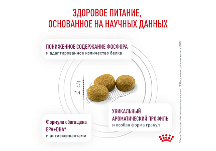 Royal Canin Renal RF23 Ветеринарный сухой корм Роял Канин Ренал для кошек Заболевание почек (хроническая почечная недостаточность) 4 кг