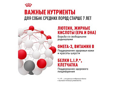 Royal Canin Medium Adult 7+ Сухой корм Роял Канин Медиум для Пожилых собак Средних пород старше 7 лет 4 кг