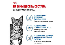 Royal Canin Indoor Jelly Влажный корм (Консервы-Паучи) Роял Канин Индор для Стерилизованных кошек Живущих в помещении в Желе (цена за упаковку) 85г х 28шт