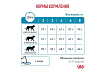 Royal Canin Hypoallergenic DR25 Ветеринарный сухой корм Роял Канин Гипоаллергенный для кошек Пищевая аллергия и непереносимость 2 кг