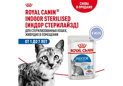 Royal Canin Indoor Jelly Влажный корм (Консервы-Паучи) Роял Канин Индор для Стерилизованных кошек Живущих в помещении в Желе (цена за упаковку) 85г х 28шт