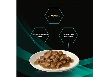 PRO PLAN VETERINARY DIETS EN ST\OX GASTROINTESTINAL Лечебный Влажный корм Паучи ПРО ПЛАН Ветеринарная диета при расстройствах пищеварения с Лососем (цена за упаковку) 85г х 26шт
