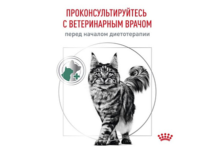 Royal Canin Satiety Weight Management Ветеринарный сухой корм Роял Канин Сэтайети Вейт Менеджмент для кошек Контроль избыточного веса 350 г