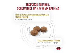 Royal Canin Urinary S\O LP34 Ветеринарный сухой корм Роял Канин Уринари для кошек при заболеваниях дистального отдела мочевыделительной системы 350 г