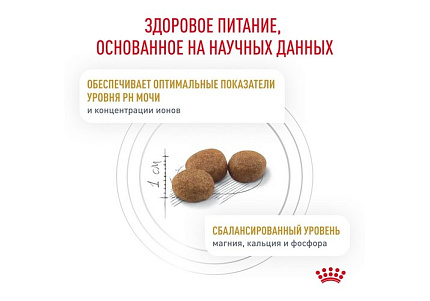 Royal Canin Urinary S\O LP34 Ветеринарный сухой корм Роял Канин Уринари для кошек при заболеваниях дистального отдела мочевыделительной системы 3,5 кг