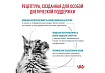 Royal Canin Hypoallergenic DR25 Ветеринарный сухой корм Роял Канин Гипоаллергенный для кошек Пищевая аллергия и непереносимость 2 кг