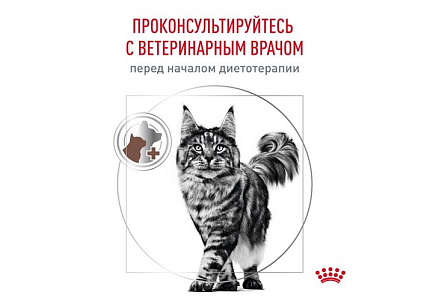 Royal Canin Hepatic HF26 Ветеринарный сухой корм Роял Канин Гепатик для кошек Заболевание печени 350 г