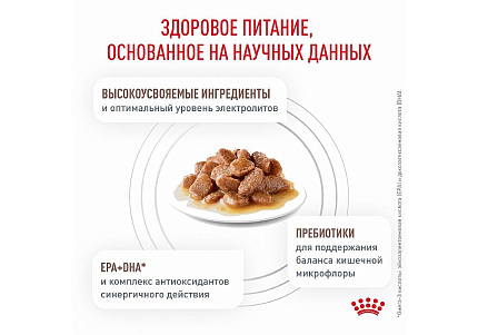 Royal Canin Gastrointestinal Ветеринарный влажный корм (Консервы-Паучи) Роял Канин Гастроинтестинал для кошек Нарушения пищеварения (цена за упаковку) 85г х 28шт