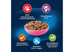 FELIX ДВОЙНАЯ ВКУСНЯТИНА Сухой корм Пурина Феликс для котят с курицей 600 г