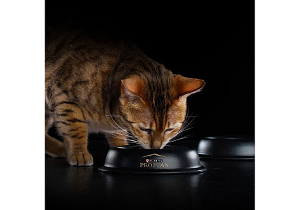 PRO PLAN DELICATE Влажный корм Паучи ПРО ПЛАН для кошек с Чувствительным пищеварением Ассорти вкусов Индейка, Океаническая рыба, Ягненок в соусе (цена за упаковку) 85г х 40шт