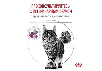 Royal Canin Renal RF23 Ветеринарный сухой корм Роял Канин Ренал для кошек Заболевание почек (хроническая почечная недостаточность) 4 кг