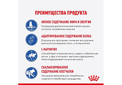 Royal Canin Light Weight Care Gravy Влажный корм (Консервы-Паучи) Роял Канин Лайт Вейт Кэа для кошек Профилактика лишнего веса в Соусе (цена за упаковку) 85г х 28шт