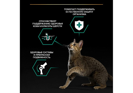 PRO PLAN ADULT Влажный корм Паучи ПРО ПЛАН для взрослых кошек Ассорти вкусов Индейка, Утка, Ягненок (цена за упаковку) 85г х 40шт