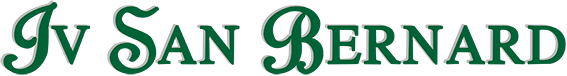 Iv San Bernard