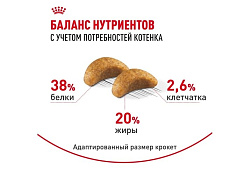 Royal Canin Breed cat Kitten British Shorthair Сухой корм Роял Канин для Котят породы Британская короткошерстная в возрасте от 4 до 12 месяцев 400 г