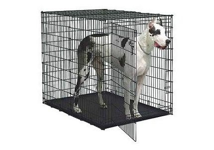 MidWest Solutions Series Double Door Клетка Мидвест 2 двери Черная 54")137х94х114h см