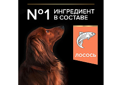 PRO PLAN OPTI DERMA Сухой корм ПРО ПЛАН для взрослых собак мелких пород при чувствительной коже с лососем 700 г