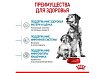 Royal Canin Medium Starter Сухой корм Роял Канин Медиум Стартер для Щенков Средних пород в возрасте до 2 месяцев 12 кг