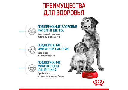 Royal Canin Medium Starter Сухой корм Роял Канин Медиум Стартер для Щенков Средних пород в возрасте до 2 месяцев 12 кг