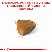 Сухой корм Royal Canin Sphynx Adult для взрослых кошек породы Сфинкс, 2 кг