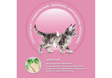 PURINA ONE KITTEN Сухой корм Пурина УАН для котят с курицей 200 г