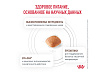 Royal Canin Hepatic HF16 Ветеринарный сухой корм Роял Канин Гепатик для собак Заболевание печени Пироплазмоз 6 кг