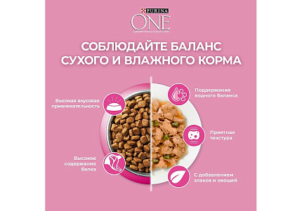 PURINA ONE KITTEN Сухой корм Пурина УАН для котят с курицей 200 г