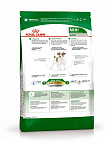 Cухой корм Royal Canin Mini Adult (МИНИ ЭДАЛТ) 8 кг