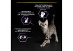 PRO PLAN KITTEN Влажный корм Паучи ПРО ПЛАН для котят с говядиной в соусе (цена за упаковку) 85г х 26шт