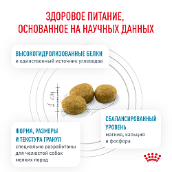 Сухой корм Royal Canin HYPOALLERGENIC SMALL DOGS (ГИПОАЛЛЕРДЖЕНИК СМОЛ ДОГЗ) 1 кг