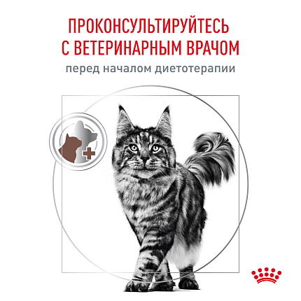 Сухой корм Royal Canin GASTROINTESTINAL (ГАСТРОИНТЕСТИНАЛ) 2 кг
