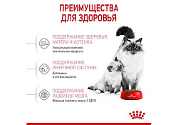 Royal Canin Mother & Babycat Сухой корм Роял Канин Бэйбикэт для Котят в возрасте от 1 до 4 месяцев 400 г