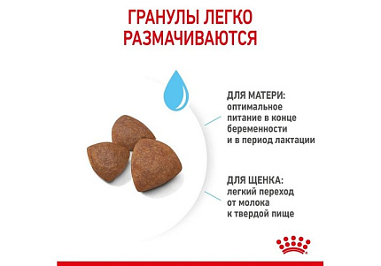 Royal Canin Medium Starter Сухой корм Роял Канин Медиум Стартер для Щенков Средних пород в возрасте до 2 месяцев 12 кг