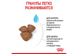Royal Canin Mini Starter Сухой корм Роял Канин Мини Стартер для Щенков Мелких пород в возрасте до 2 месяцев 3 кг