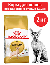 Сухой корм Royal Canin Sphynx Adult для взрослых кошек породы Сфинкс, 2 кг