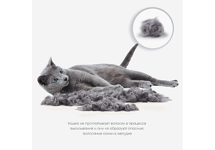 FURminator S Small Cat Short Hair Фурминатор для Мелких кошек с Короткой шерстью 1 шт