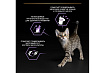 PRO PLAN KITTEN Влажный корм Паучи ПРО ПЛАН для Котят Ассорти вкусов Говядина в соусе Индейка в соусе Курица в желе (цена за упаковку) 85г х 10шт