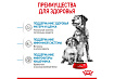 Royal Canin Medium Starter Сухой корм Роял Канин Медиум Стартер для Щенков Средних пород в возрасте до 2 месяцев 4 кг