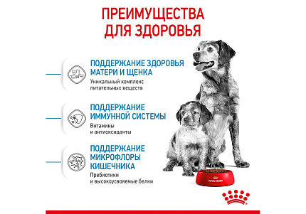 Royal Canin Medium Starter Сухой корм Роял Канин Медиум Стартер для Щенков Средних пород в возрасте до 2 месяцев 4 кг