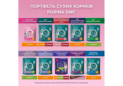 PURINA ONE KITTEN Сухой корм Пурина УАН для котят с курицей 200 г