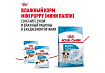 Royal Canin Mini Puppy Сухой корм Роял Канин Мини Паппи для Щенков Мелких пород в возрасте от 2 до 10 месяцев 4 кг