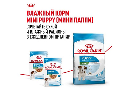 Royal Canin Mini Puppy Сухой корм Роял Канин Мини Паппи для Щенков Мелких пород в возрасте от 2 до 10 месяцев 4 кг