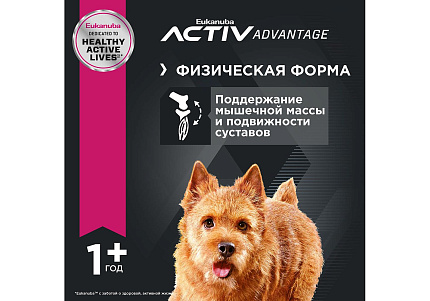 Eukanuba Adult Small Breed Сухой корм Эукануба для взрослых собак Мелких пород с Курицей 3 кг