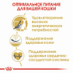 Сухой корм Royal Canin Sphynx Adult для взрослых кошек породы Сфинкс, 2 кг