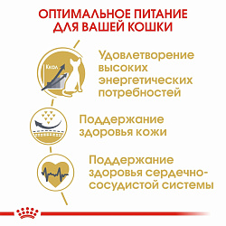 Сухой корм Royal Canin Sphynx Adult для взрослых кошек породы Сфинкс, 400 гр