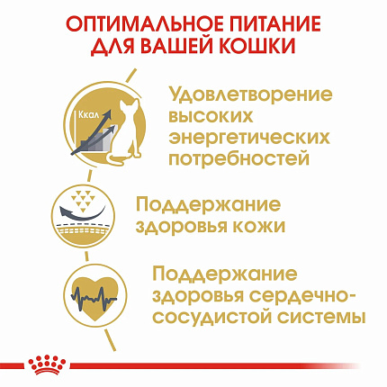 Сухой корм Royal Canin Sphynx Adult для взрослых кошек породы Сфинкс, 2 кг
